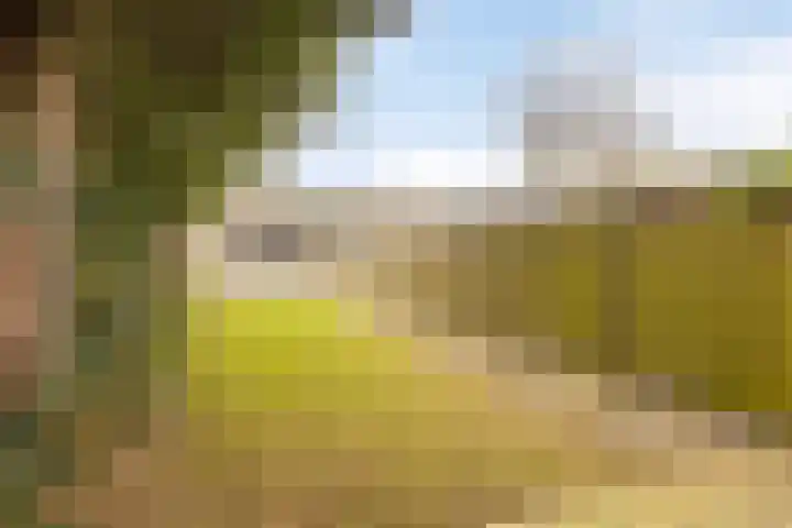 Haarenseweg 25 Oisterwijk thumbnail 40