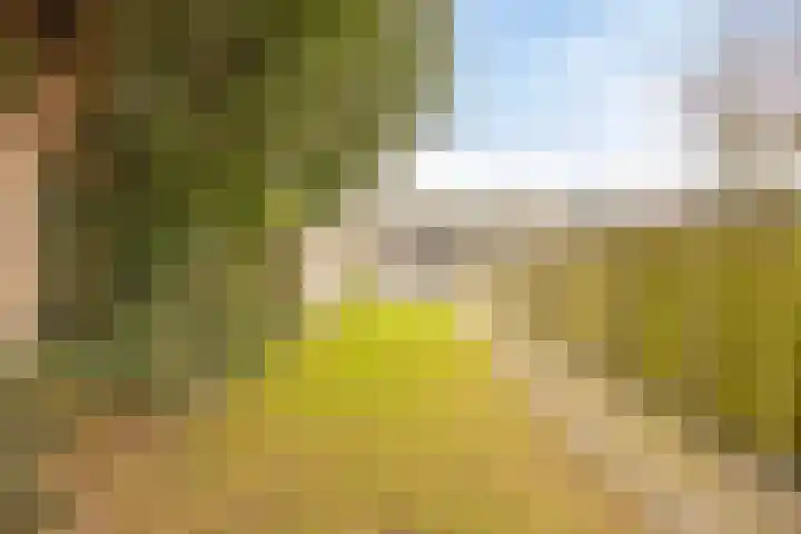 Haarenseweg 25 Oisterwijk thumbnail 41