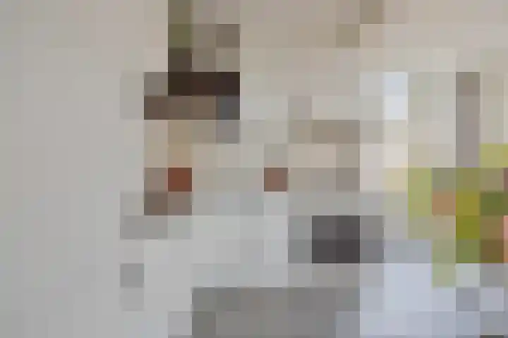 Haarenseweg 25 Oisterwijk thumbnail 8