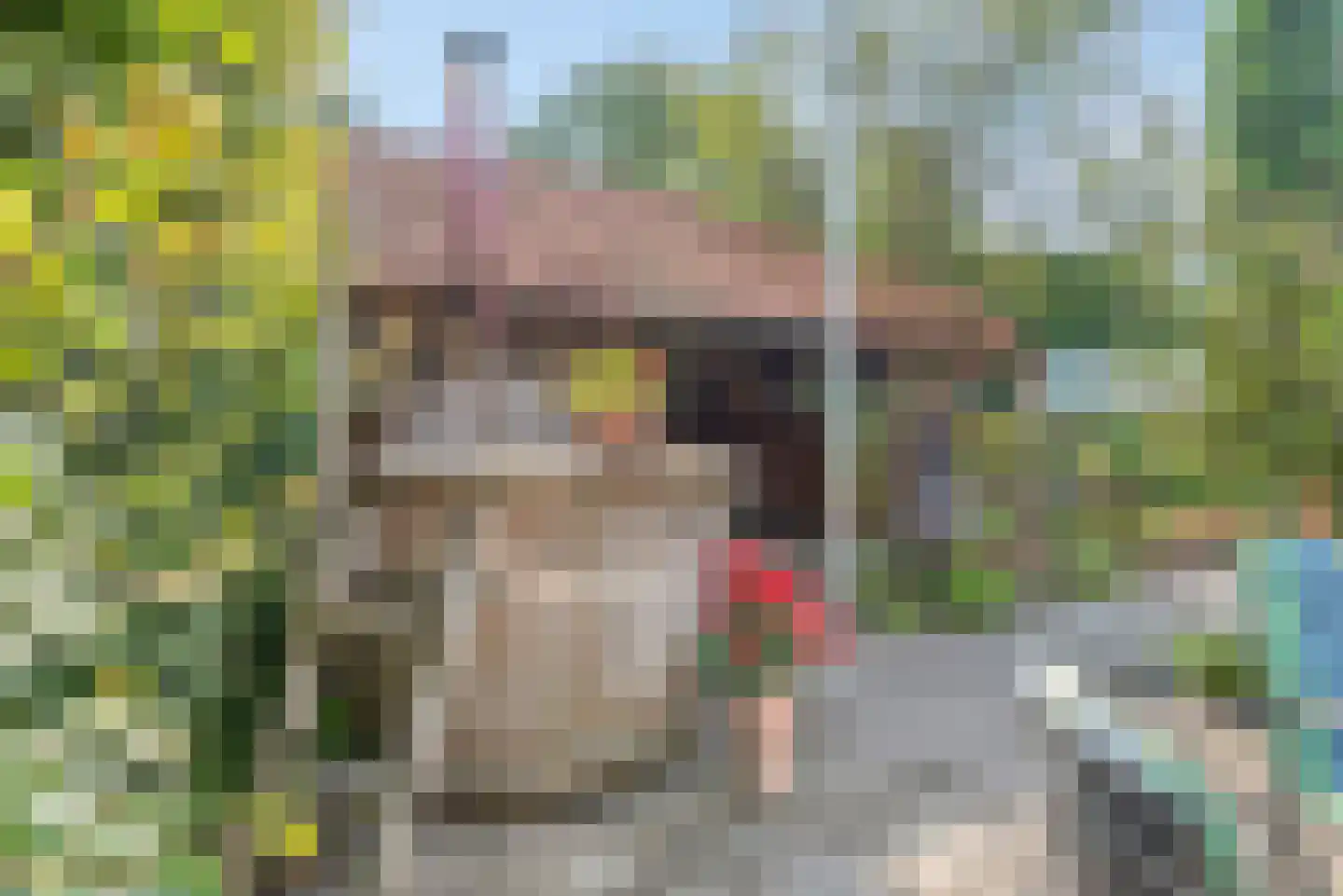 Haarenseweg 42 Oisterwijk thumbnail 43