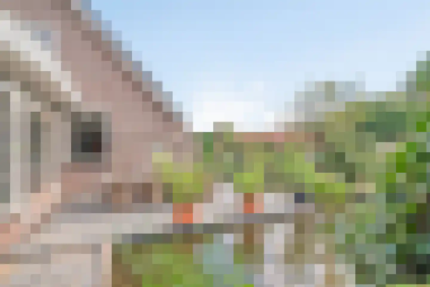 Haarenseweg 42 Oisterwijk thumbnail 51