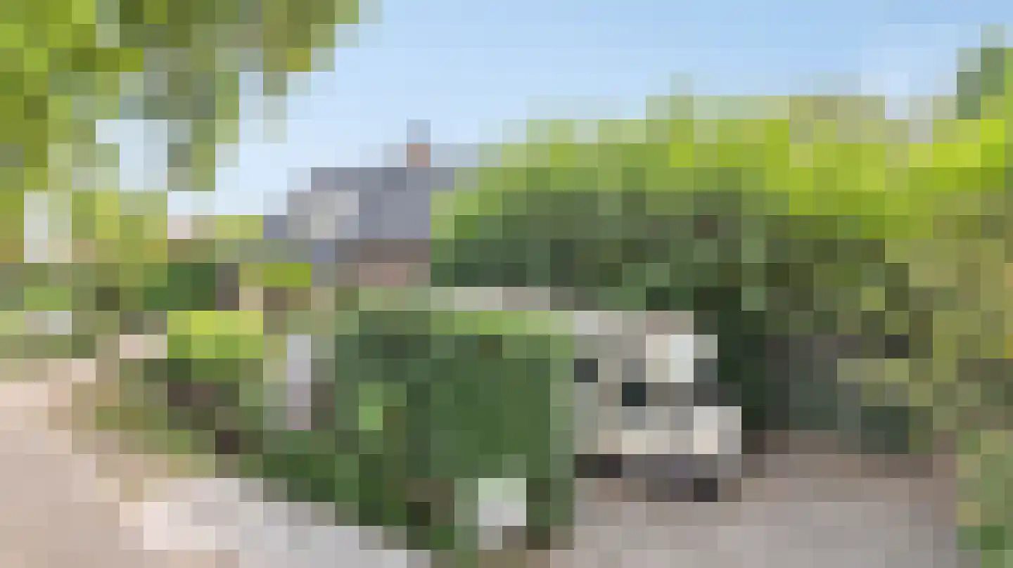 Haarenseweg 42 Oisterwijk thumbnail 60