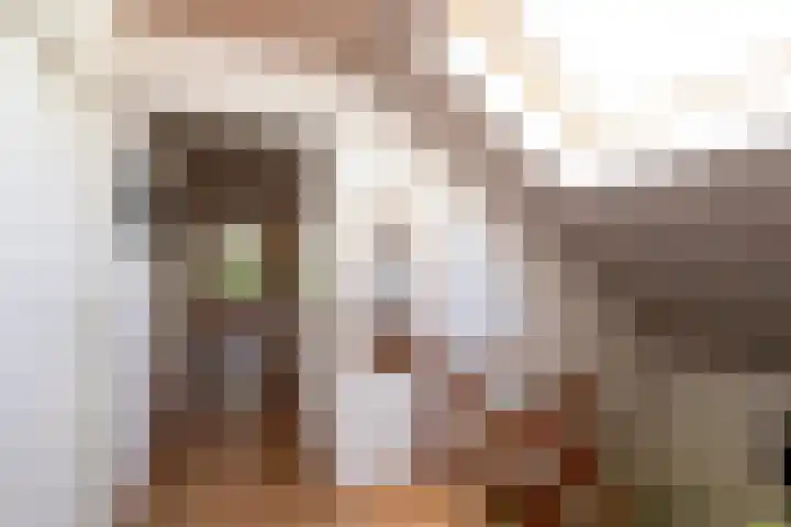 Haarenseweg 7 a Esch thumbnail 37