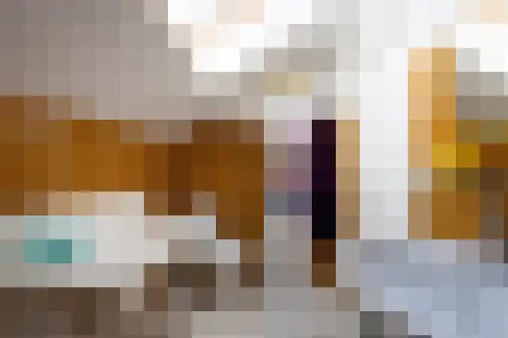 Haarenseweg 7 a Esch thumbnail 49
