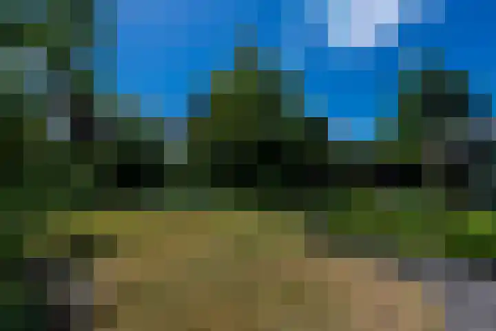 Haarenseweg 7 a Esch thumbnail 52