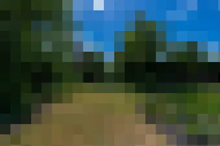 Haarenseweg 7 a Esch thumbnail 53