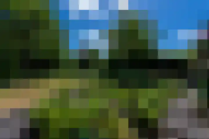 Haarenseweg 7 a Esch thumbnail 54