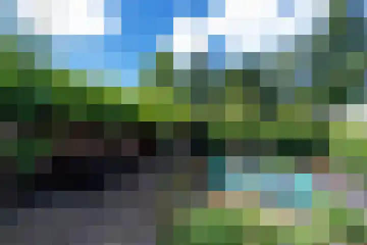 Haarenseweg 7 a Esch thumbnail 56