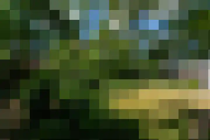 Haarenseweg 7 a Esch thumbnail 58