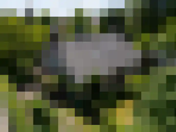 Haarenseweg 7 a Esch thumbnail 6