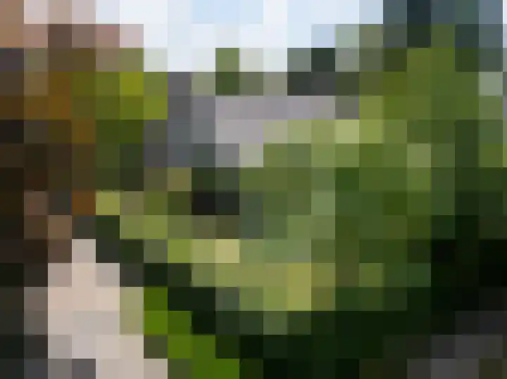 Haarenseweg 7 a Esch thumbnail 62