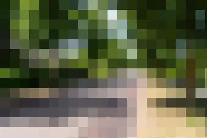Haarenseweg 7 a Esch thumbnail 63