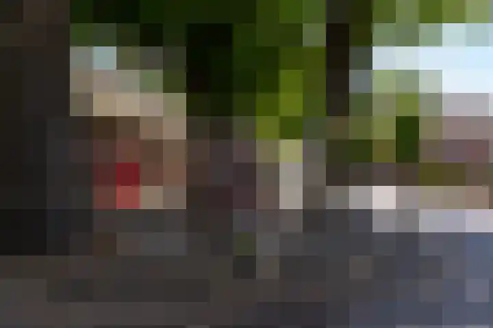 Haarenseweg 7 a Esch thumbnail 64