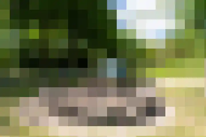 Haarenseweg 7 a Esch thumbnail 65