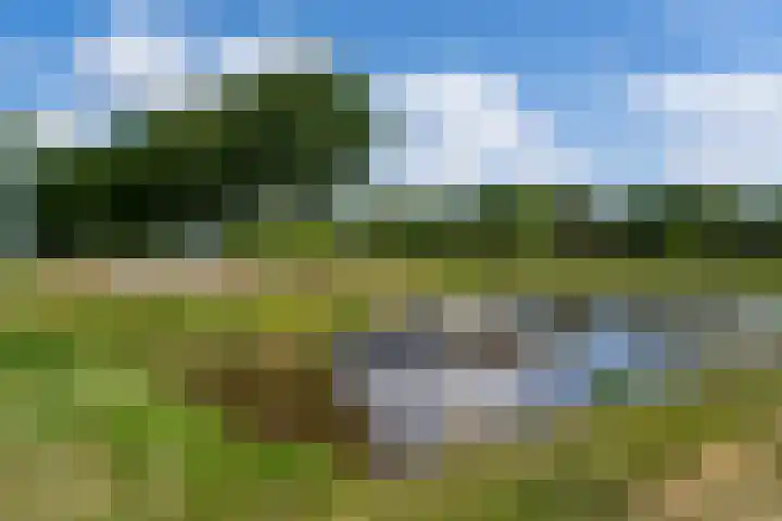 Haarenseweg 7 a Esch thumbnail 66