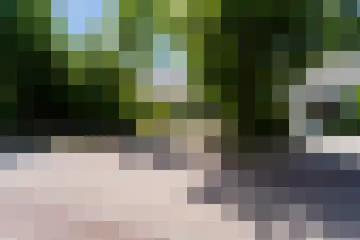 Haarenseweg 7 a Esch thumbnail 8