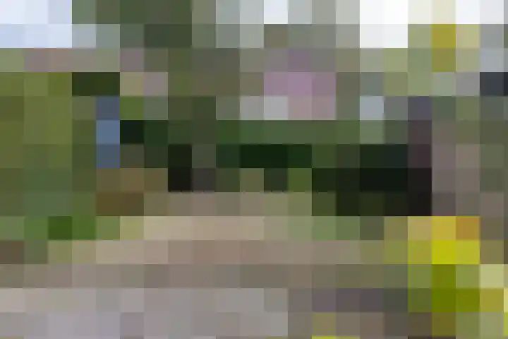 Haareweg 112 Doetinchem thumbnail 19