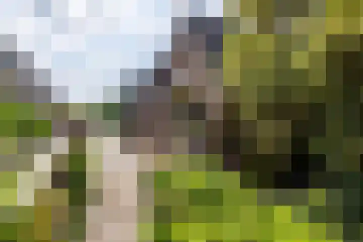 Haareweg 59 Doetinchem thumbnail 14