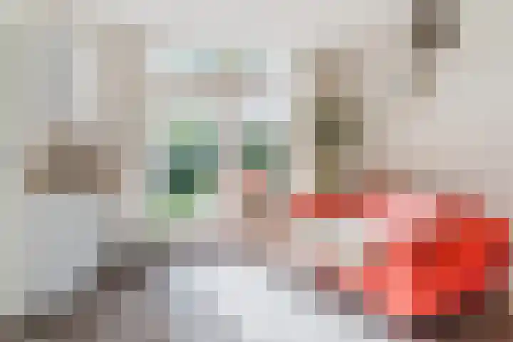 Haargetouw 13 Berghem thumbnail 13