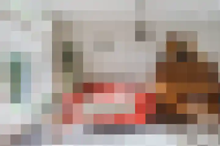 Haargetouw 13 Berghem thumbnail 14