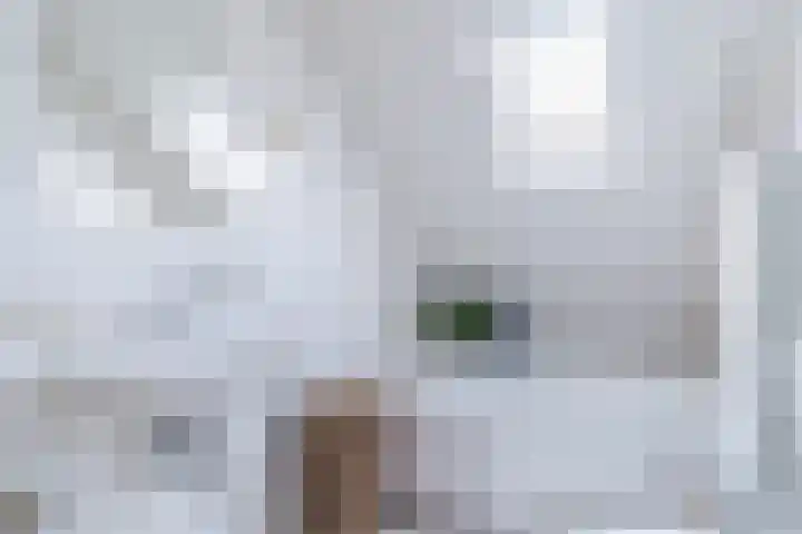 Haargetouw 13 Berghem thumbnail 18