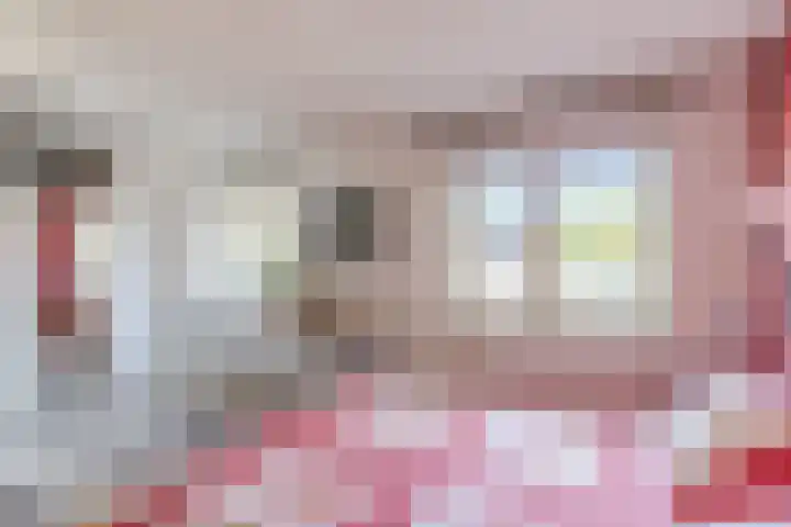 Haargetouw 13 Berghem thumbnail 21