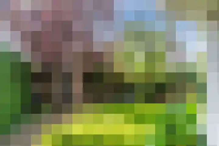 Haargetouw 13 Berghem thumbnail 29