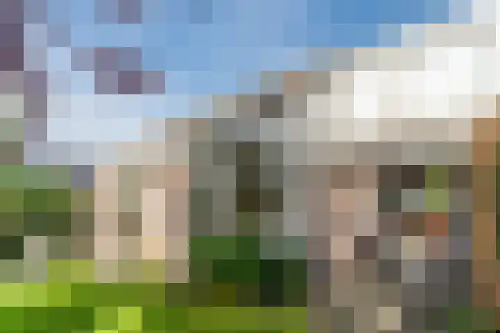 Haargetouw 13 Berghem thumbnail 30