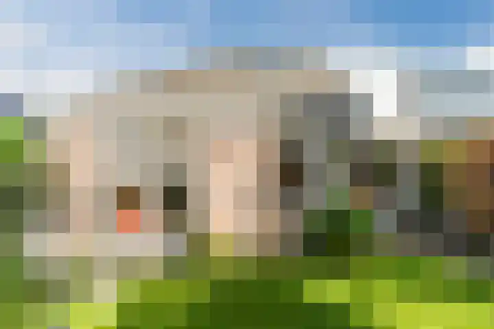 Haargetouw 13 Berghem thumbnail 31
