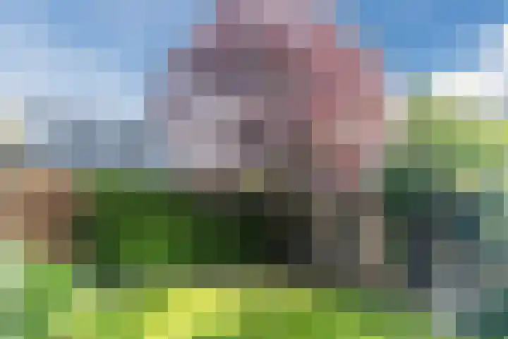 Haargetouw 13 Berghem thumbnail 32