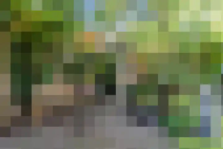 Haargetouw 13 Berghem thumbnail 34
