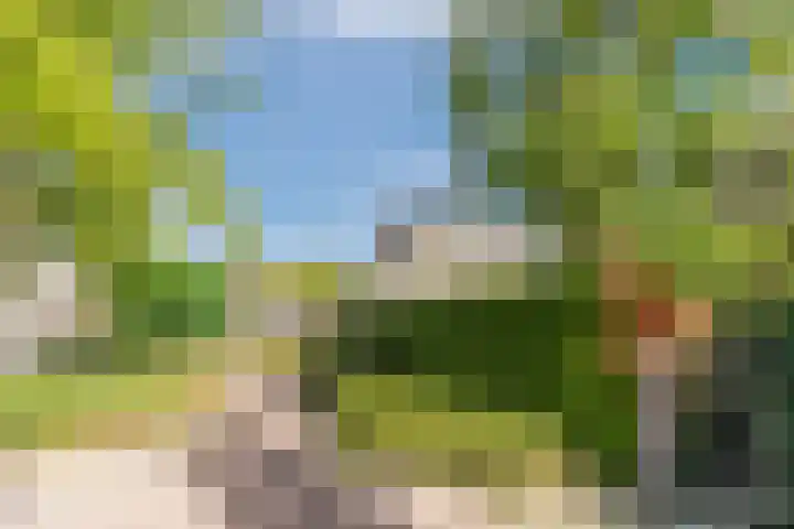 Haargetouw 13 Berghem thumbnail 35