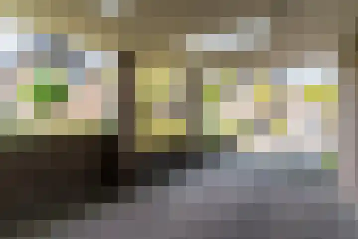 Haargetouw 13 Berghem thumbnail 36