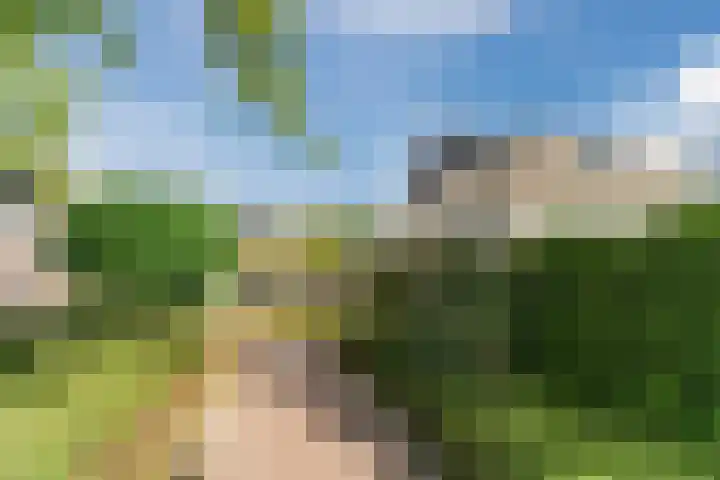 Haargetouw 13 Berghem thumbnail 40