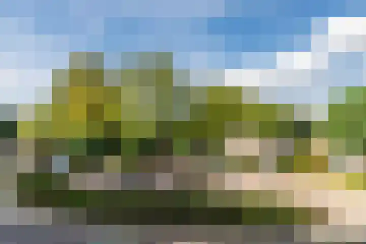 Haargetouw 13 Berghem thumbnail 41