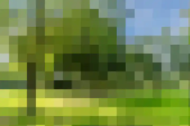 Haargetouw 13 Berghem thumbnail 42