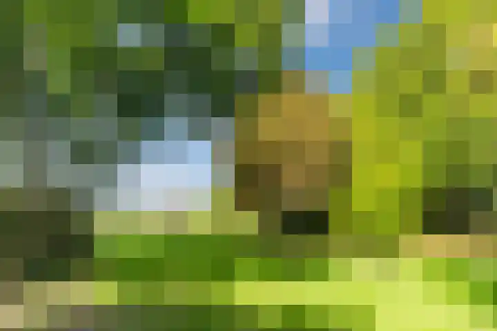 Haargetouw 13 Berghem thumbnail 43