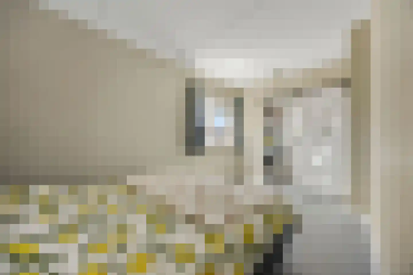 Haarkampstraat 30 Voorthuizen thumbnail 22