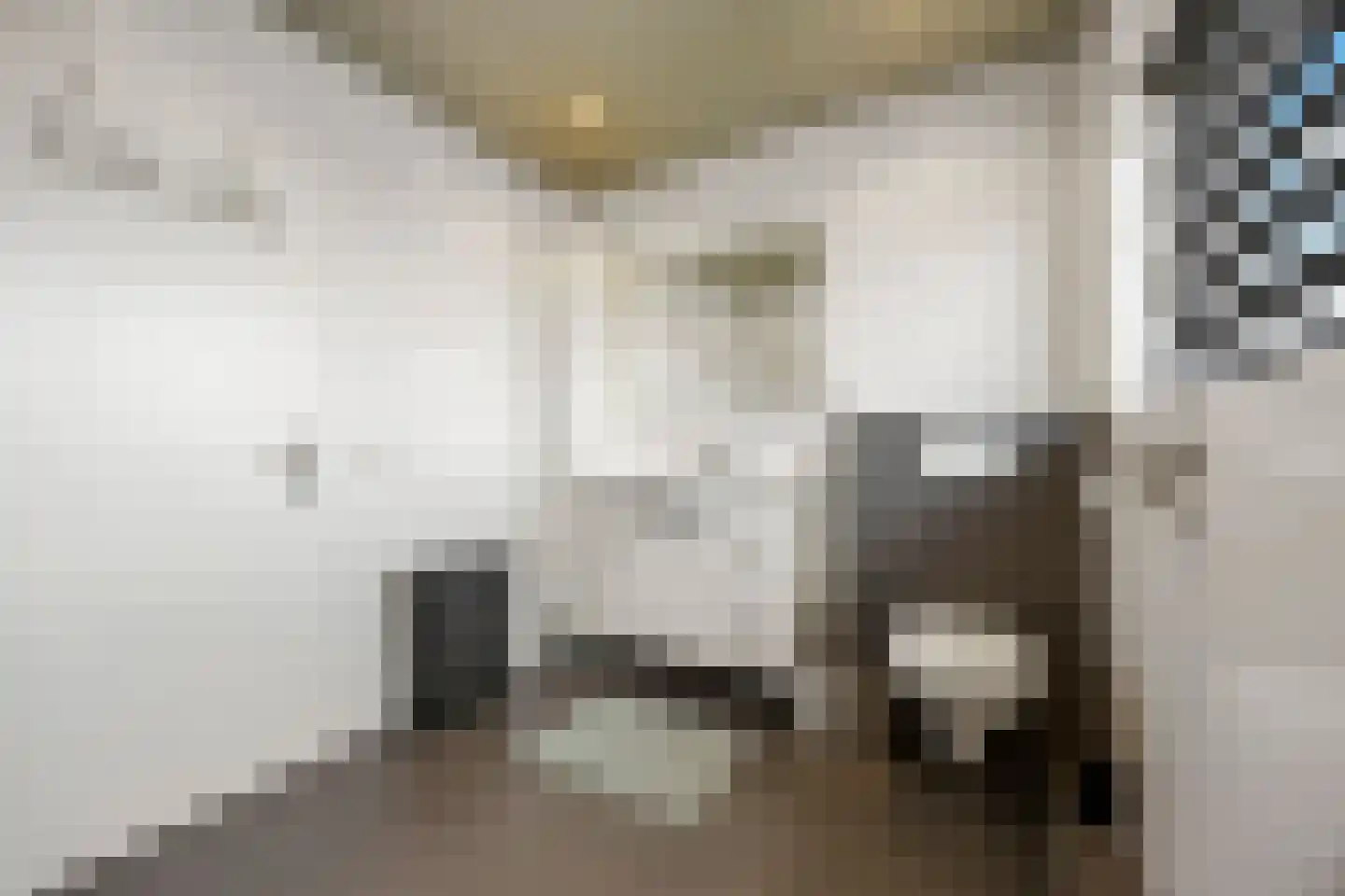 Haarkampstraat 30 Voorthuizen thumbnail 25