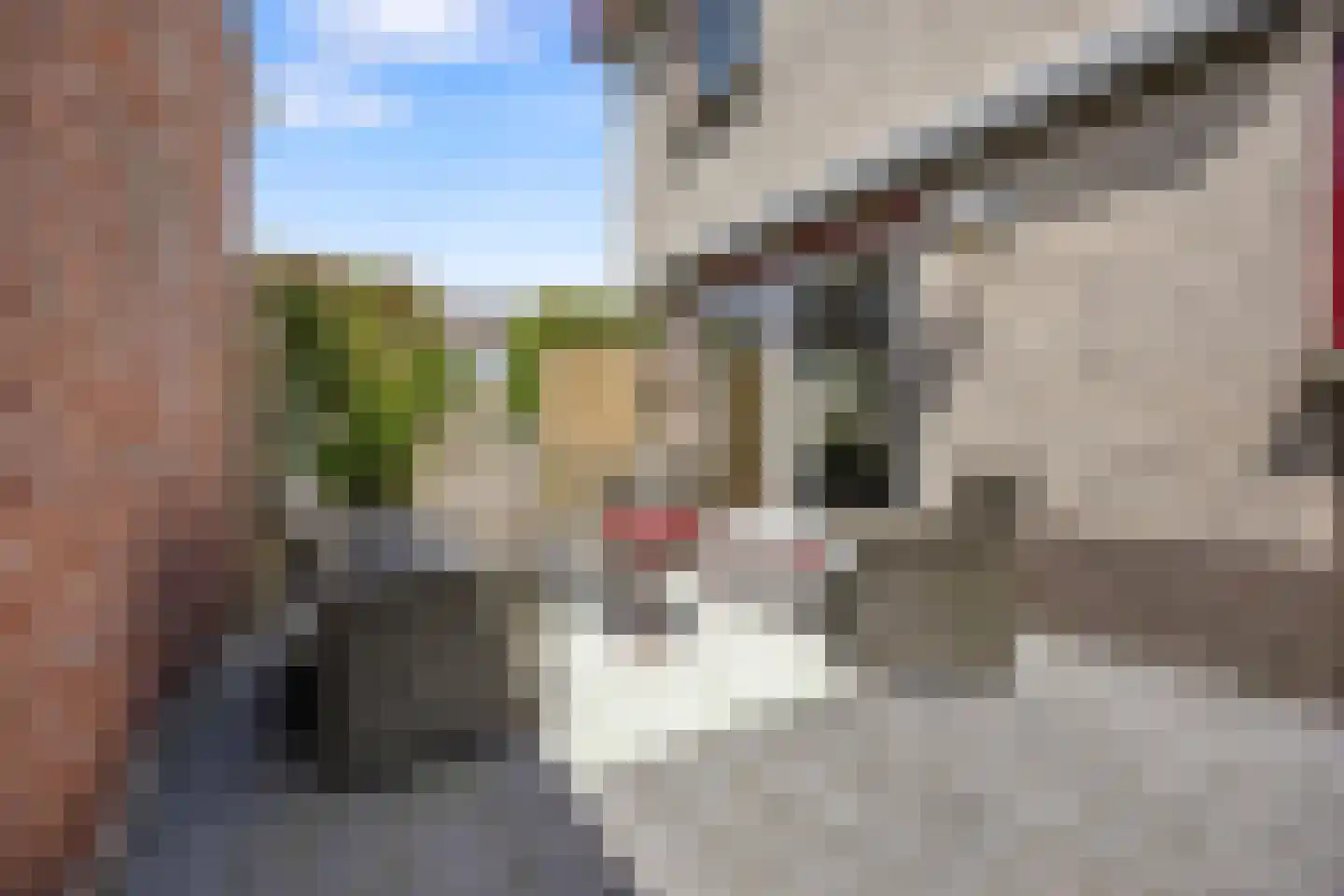 Haarkampstraat 30 Voorthuizen thumbnail 32