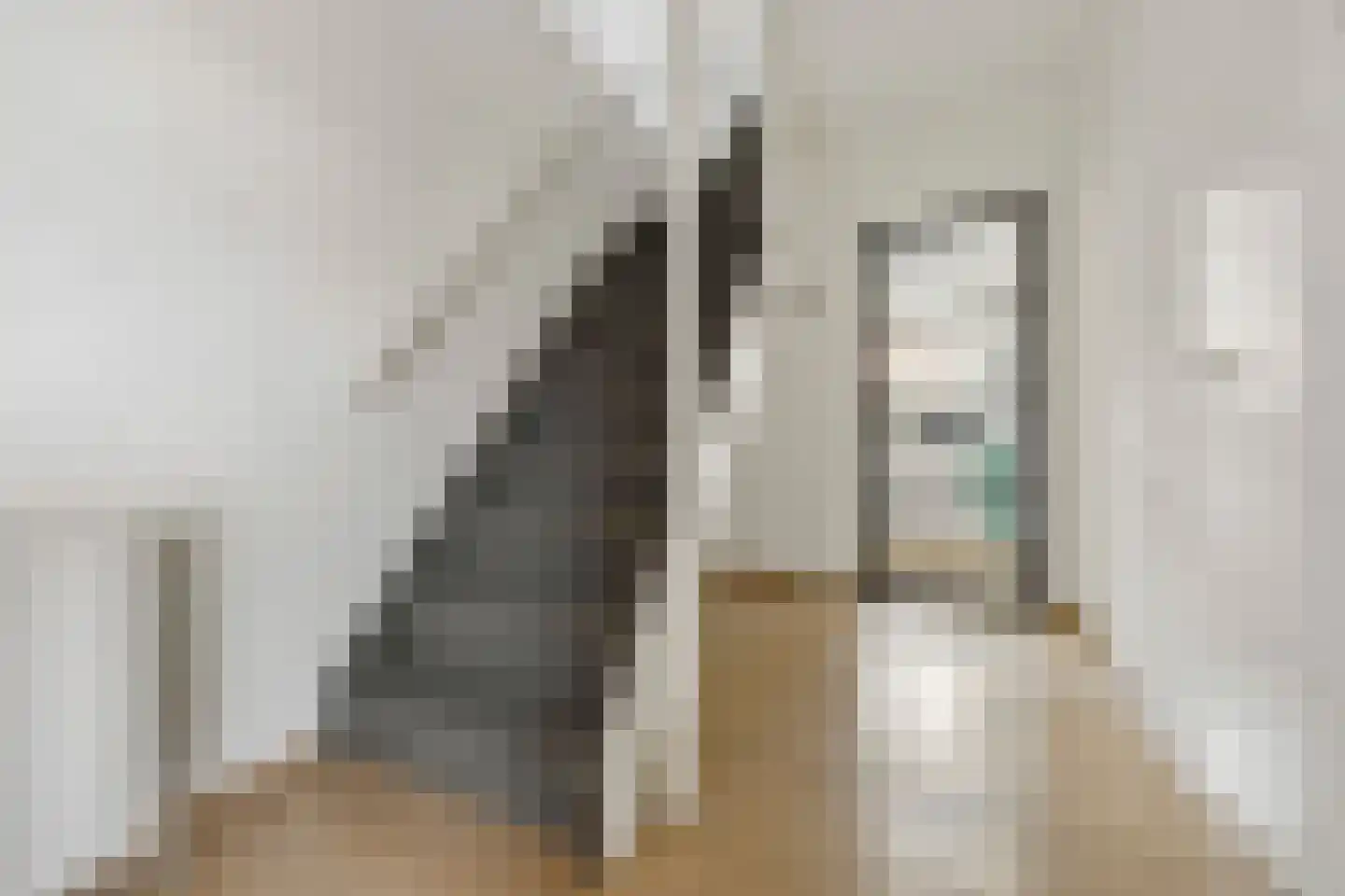 Haarkampstraat 30 Voorthuizen thumbnail 7