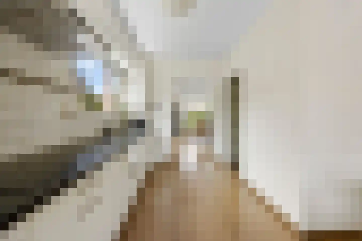 Haarkampstraat 30 Voorthuizen thumbnail 8