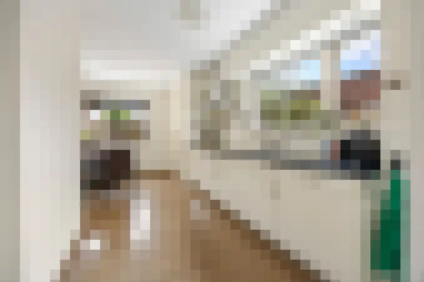 Haarkampstraat 30 Voorthuizen thumbnail 9