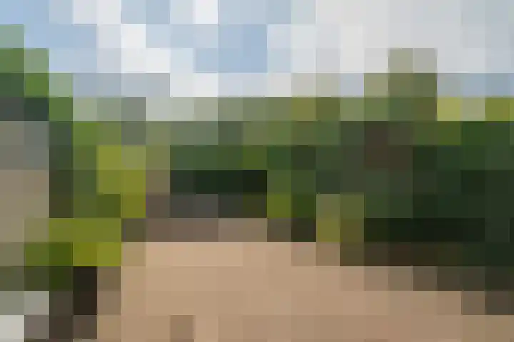 Haarlebrink 34 Enschede thumbnail 27