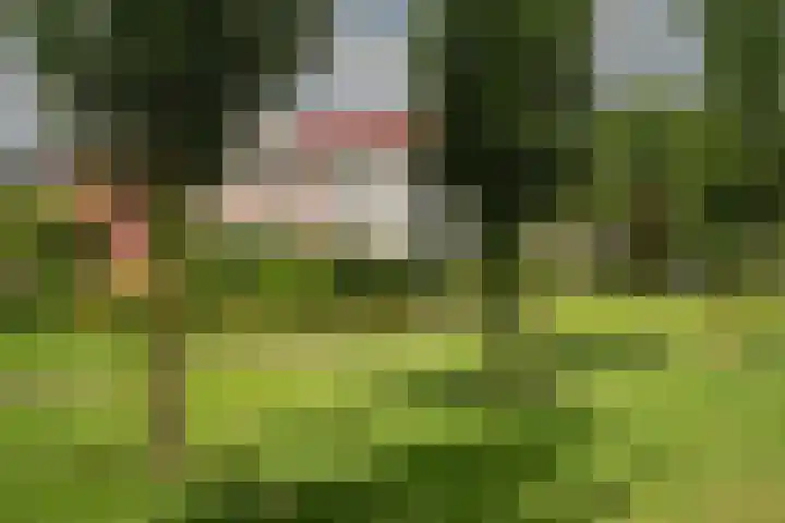 Haarlebrink 34 Enschede thumbnail 33