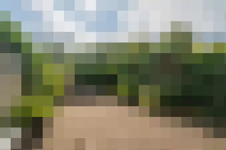 Haarlebrink 34 Enschede thumbnail 4