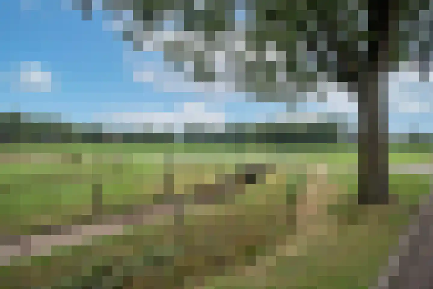 Haarlefertsweg 13 Reutum thumbnail 30