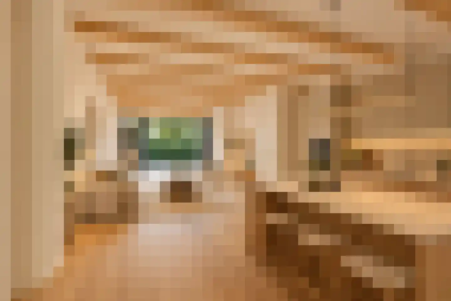 Haarlemmer Houttuinen 17 A Amsterdam thumbnail 12