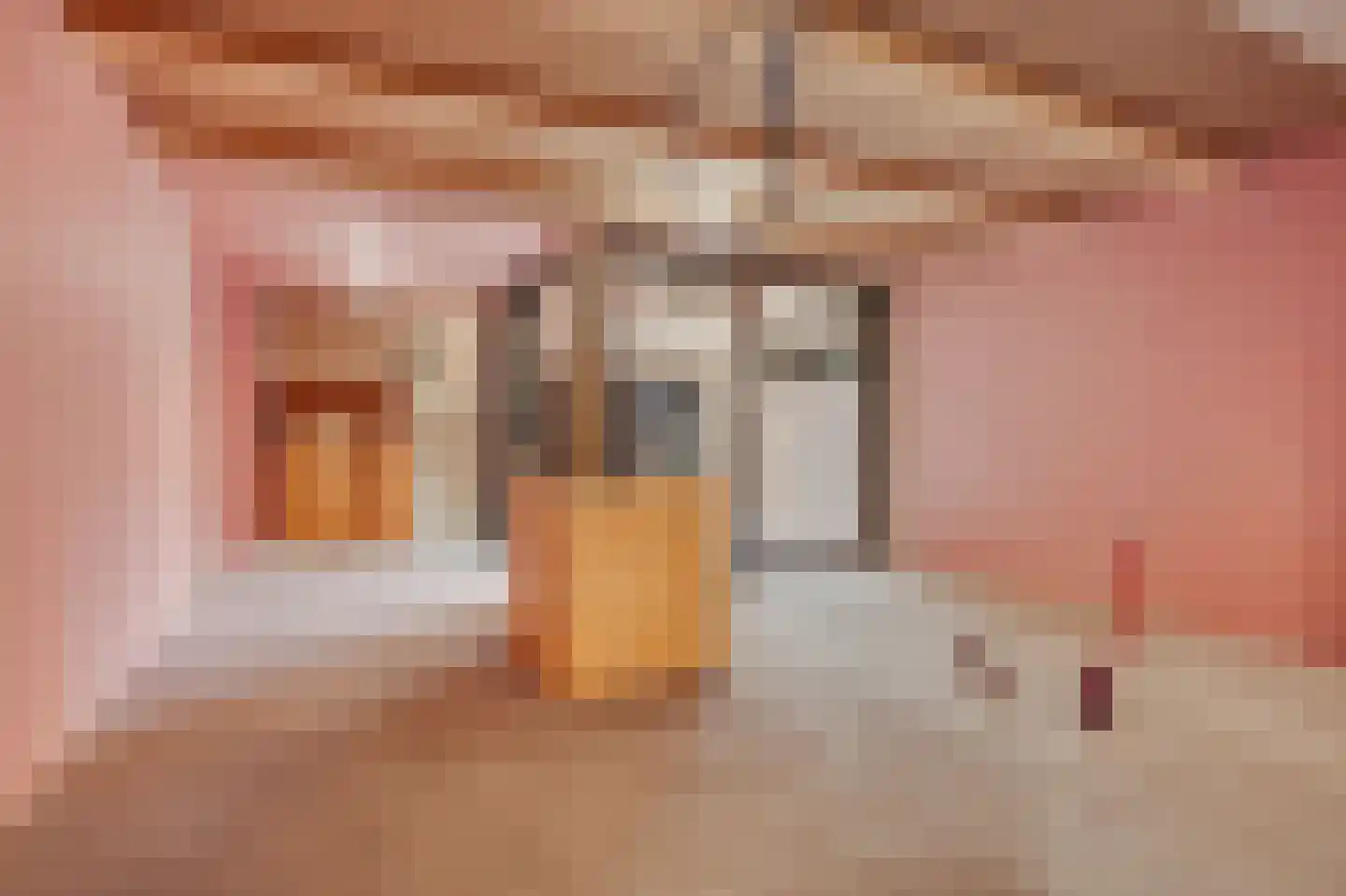 Haarlemmer Houttuinen 17 A Amsterdam thumbnail 14
