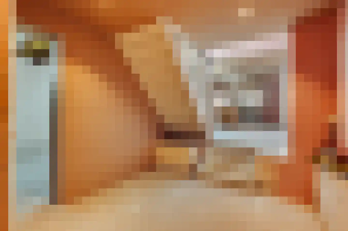Haarlemmer Houttuinen 17 A Amsterdam thumbnail 18